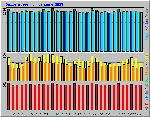 Daily usage for January 2025