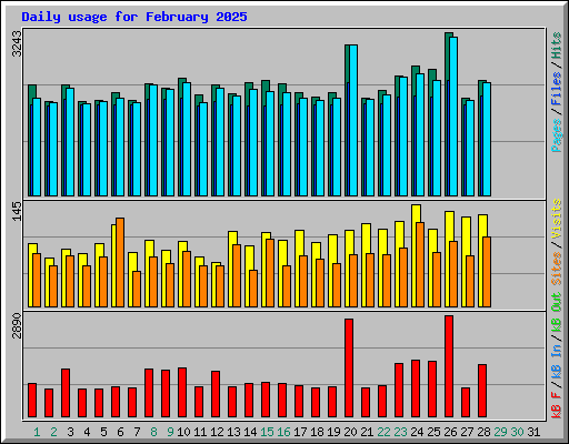 Daily usage for February 2025