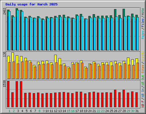 Daily usage for March 2025