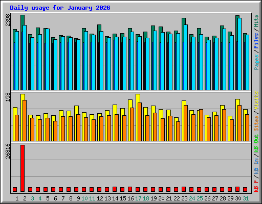 Daily usage for January 2026