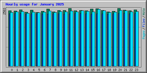 Hourly usage for January 2025