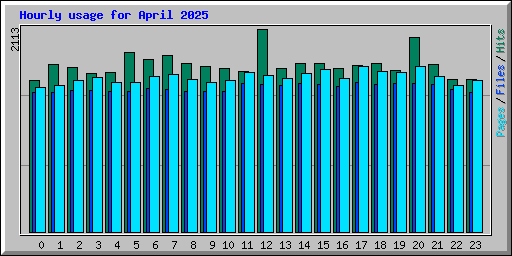 Hourly usage for April 2025
