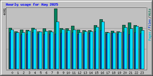 Hourly usage for May 2025