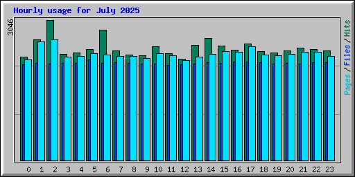 Hourly usage for July 2025