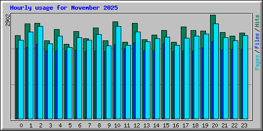 Hourly usage for November 2025