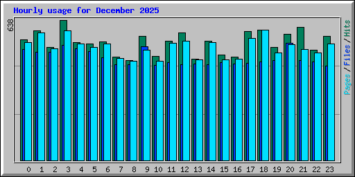 Hourly usage for December 2025