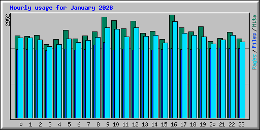 Hourly usage for January 2026