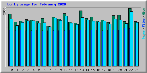 Hourly usage for February 2026
