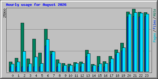 Hourly usage for August 2026