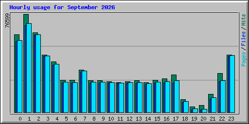 Hourly usage for September 2026